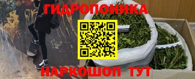 мяу мяу мука Гусь-Хрустальный