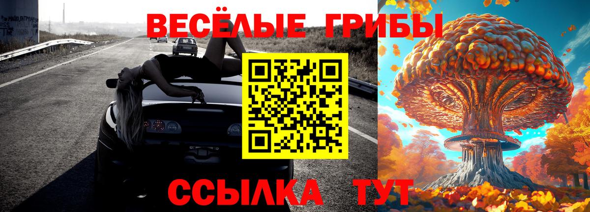 Наро-Фоминск  Псилоцибиновые грибы Psilocybe  Вход с VPN  Галлюциногенные грибы Psilocybine cubensis 