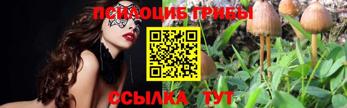 Галлюциногенные грибы Psilocybine cubensis Наро-Фоминск